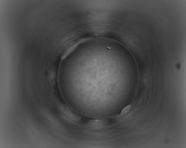 X0000093520082200710191341