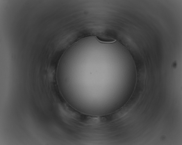 X0000093520083200710191341