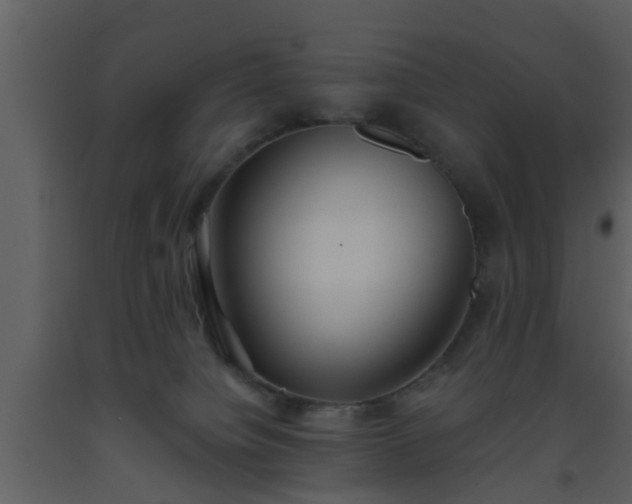 X0000093520084200710191341