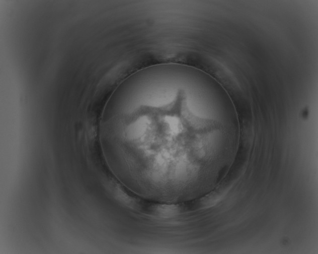 X0000093520085200710191341