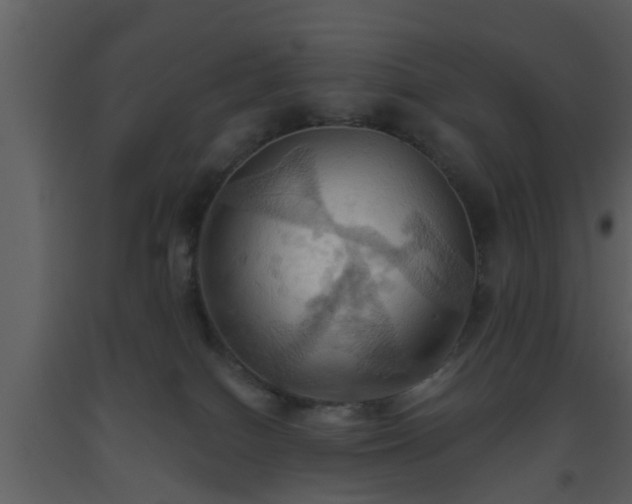 X0000093520086200710191341