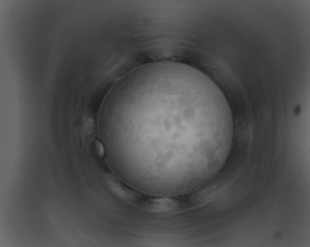 X0000093520087200710191341