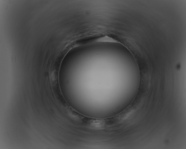 X0000093520088200710191341