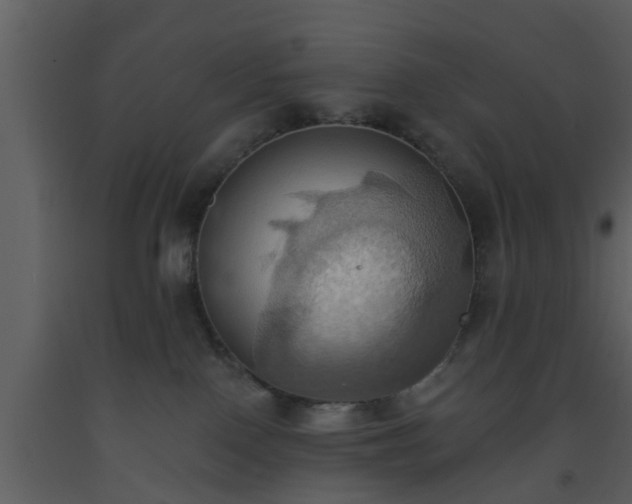 X0000093520090200710191341