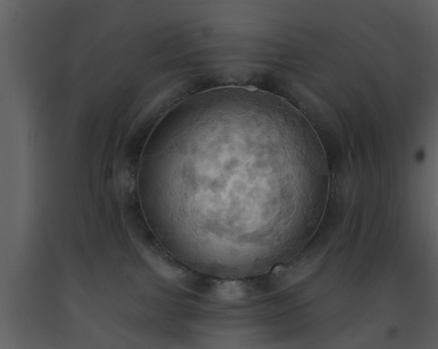 X0000093520091200710191341