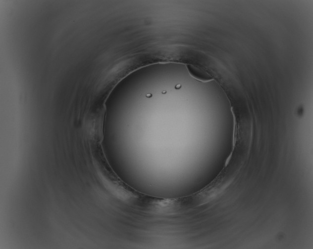 X0000093520092200710191341