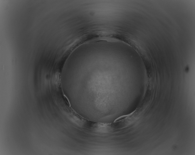 X0000093520093200710191341