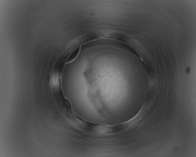 X0000093520094200710191341