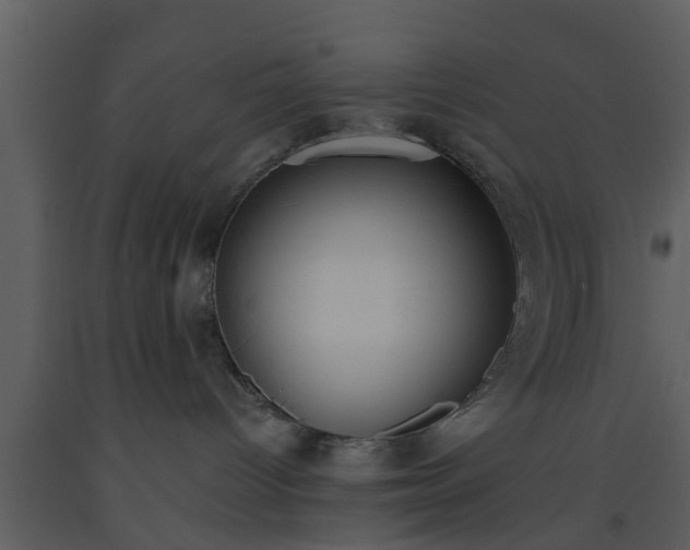 X0000093520096200710191341