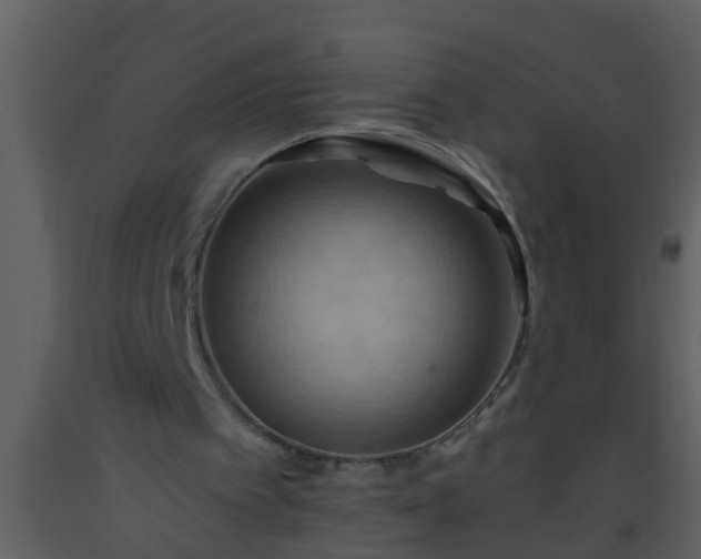 X0000093520097200710191341