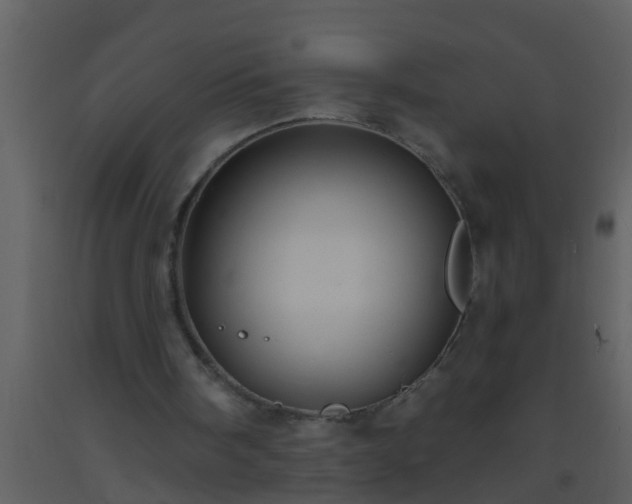 X0000093520098200710191341