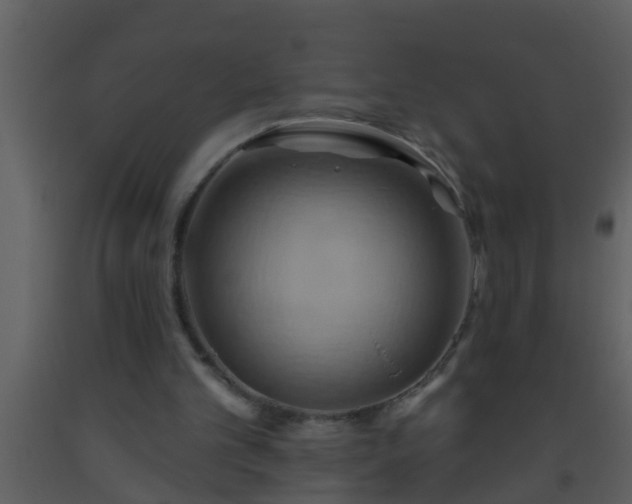 X0000093520101200710191340