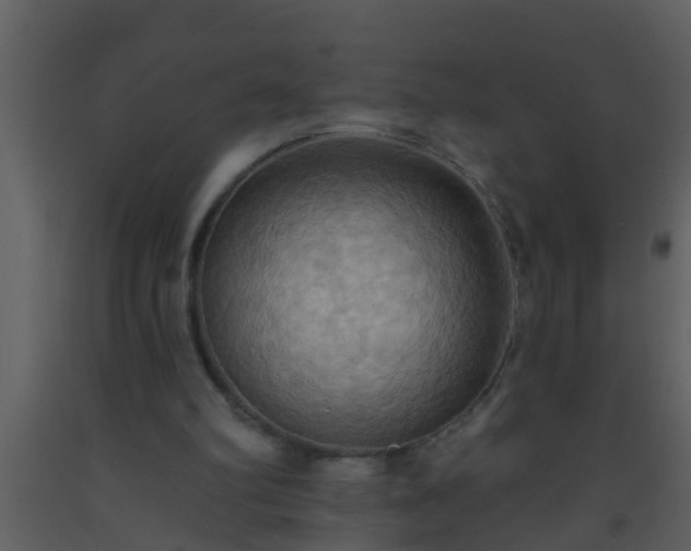 X0000093520102200710191340