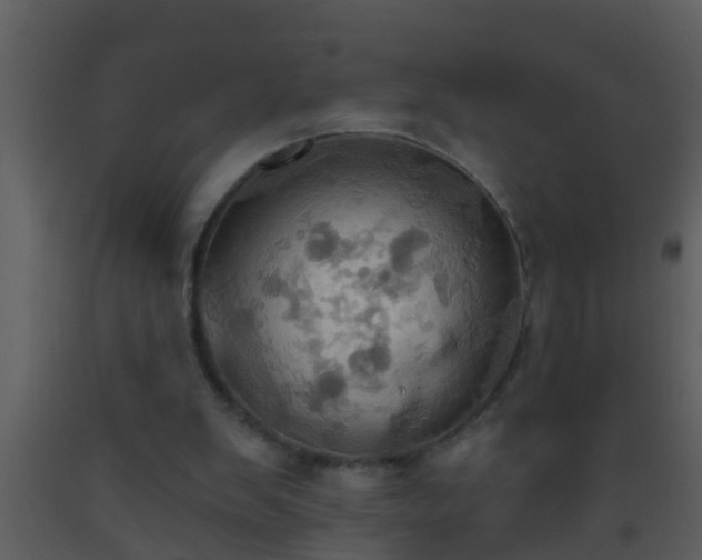 X0000093520103200710191340