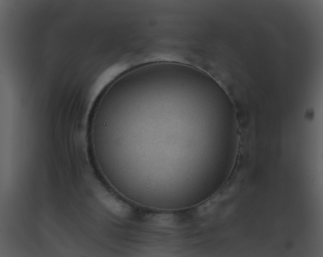 X0000093520104200710191340