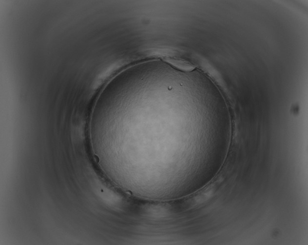 X0000093520106200710191340