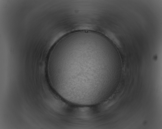 X0000093520108200710191340