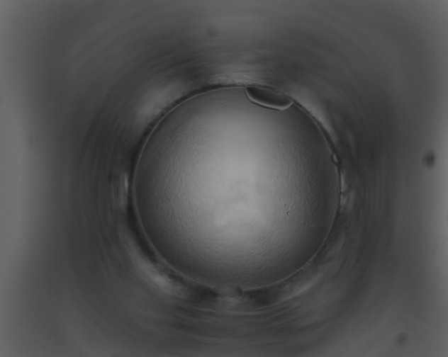 X0000093520109200710191340