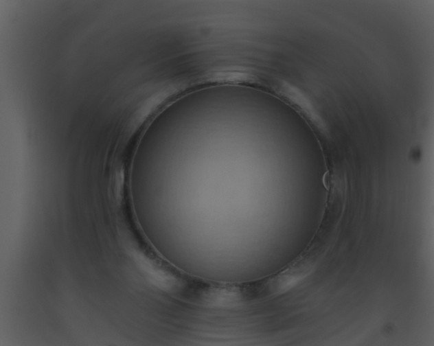 X0000093520110200710191340