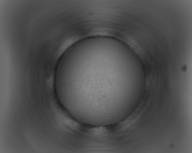 X0000093520112200710191340