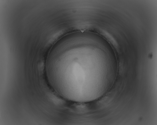 X0000093520113200710191340