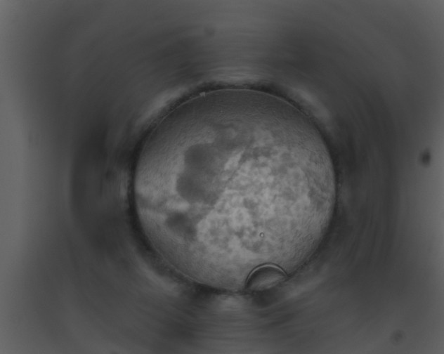 X0000093520115200710191340