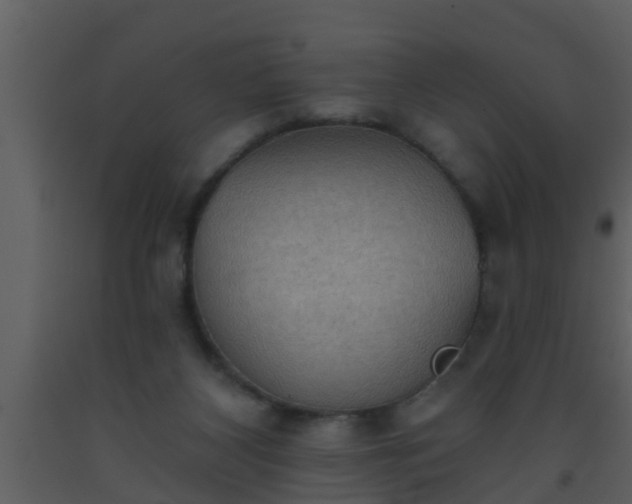 X0000093520116200710191340