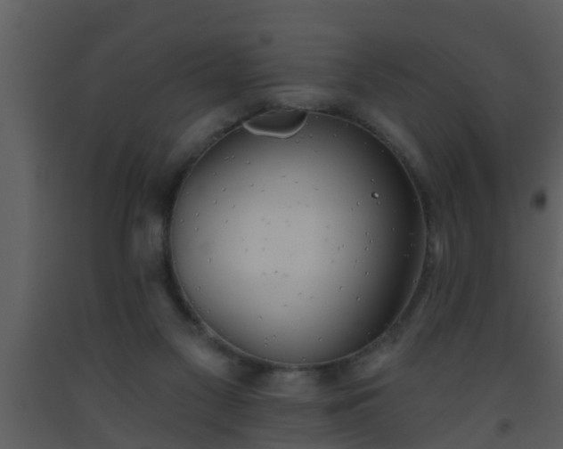 X0000093520117200710191340