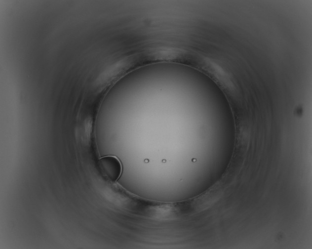 X0000093520118200710191340