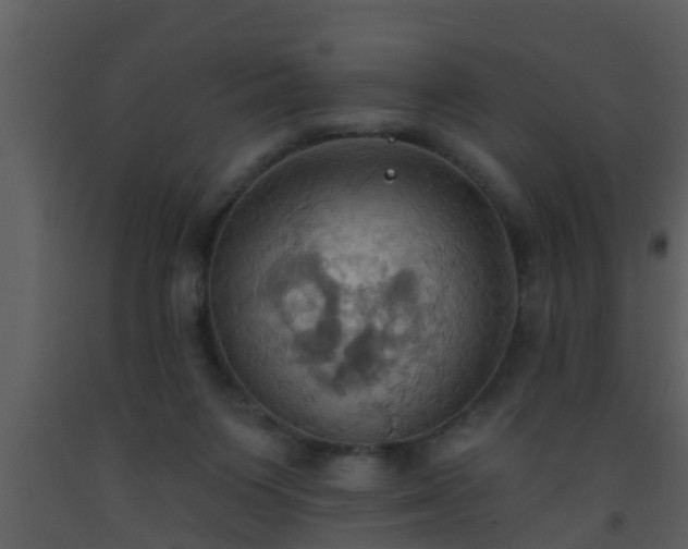 X0000093520119200710191340