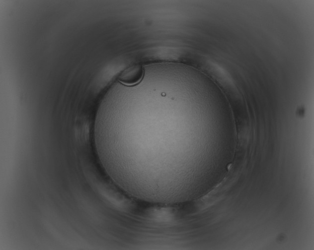 X0000093520120200710191340