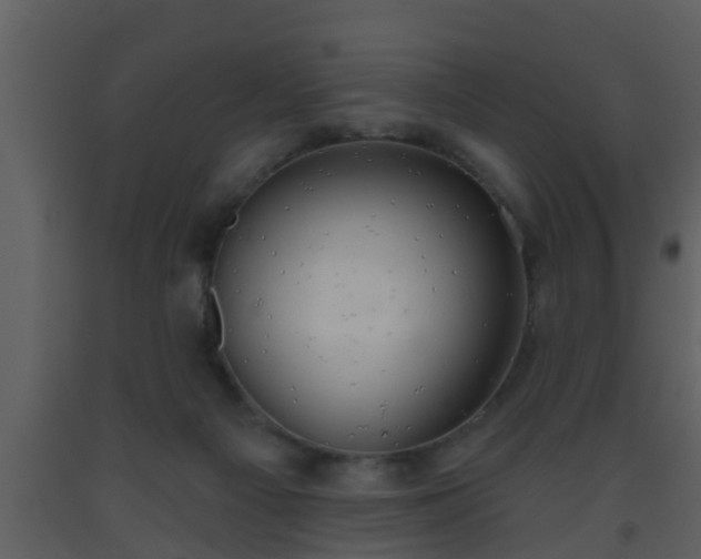 X0000093520121200710191340