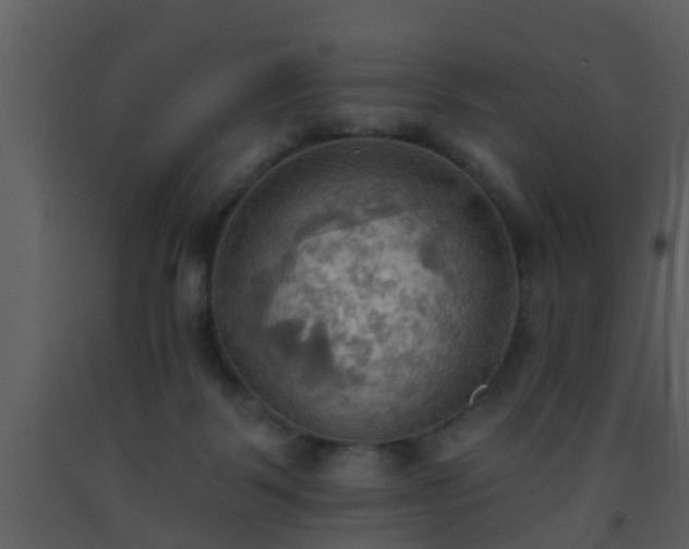 X0000093520123200710191340