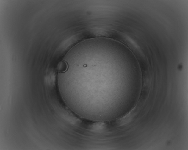 X0000093520124200710191340