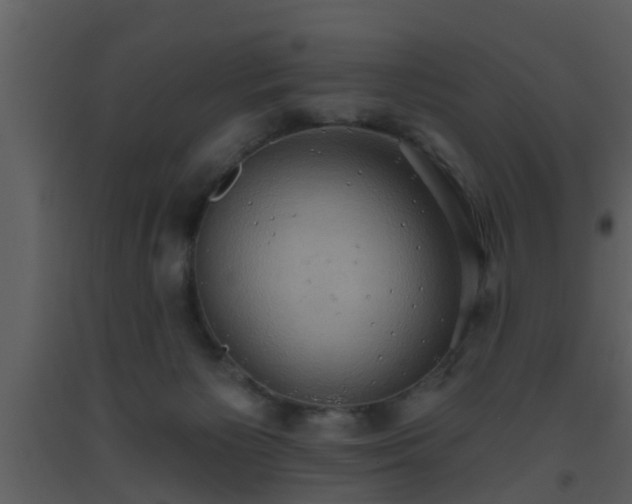 X0000093520125200710191340