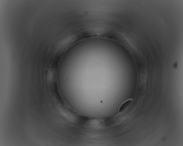 X0000093520126200710191340