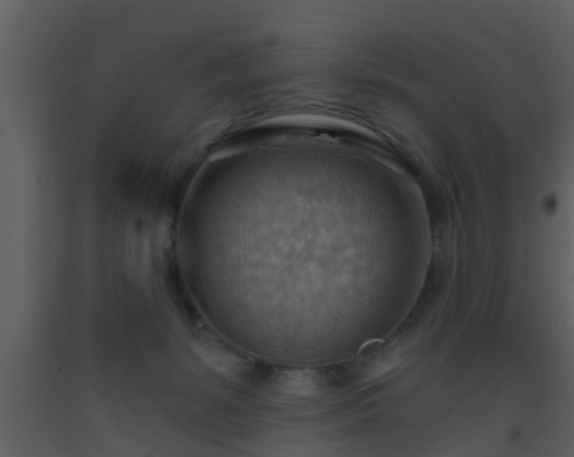 X0000093520127200710191340