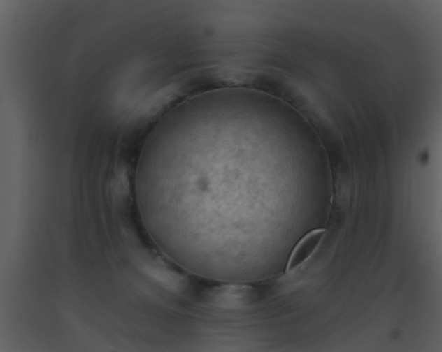 X0000093520128200710191340