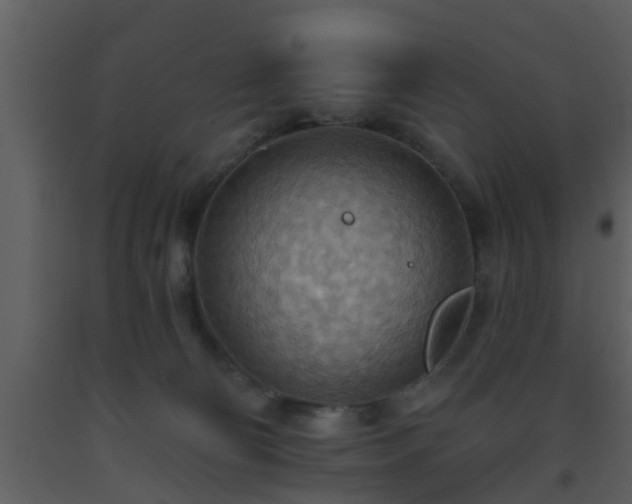 X0000093520130200710191340