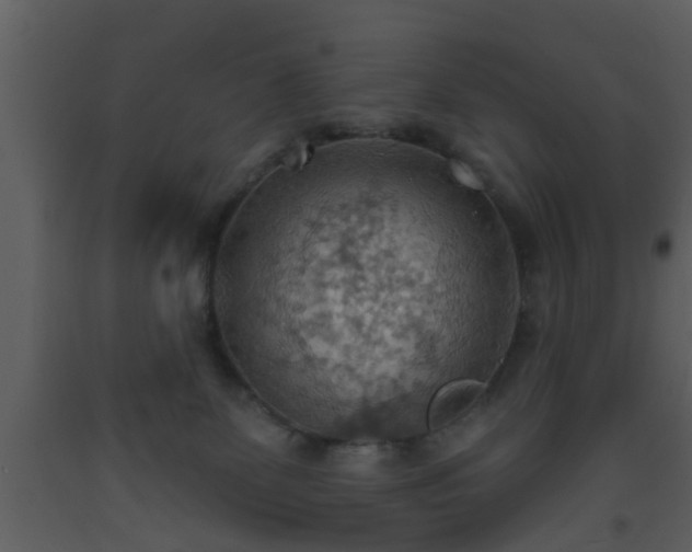 X0000093520131200710191340