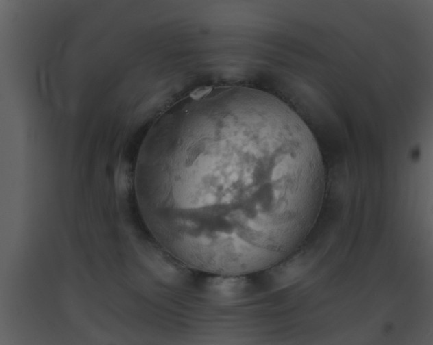 X0000093520135200710191340