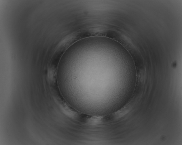 X0000093520138200710191340