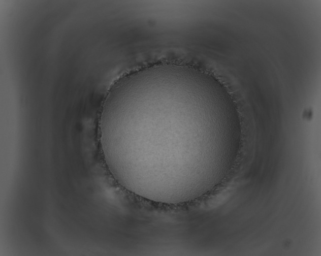 X0000093520144200710191340