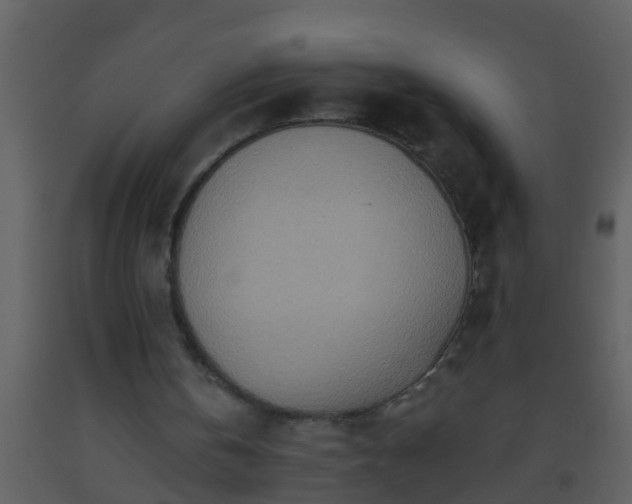 X0000093520146200710191339