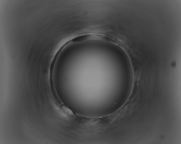 X0000093520148200710191339