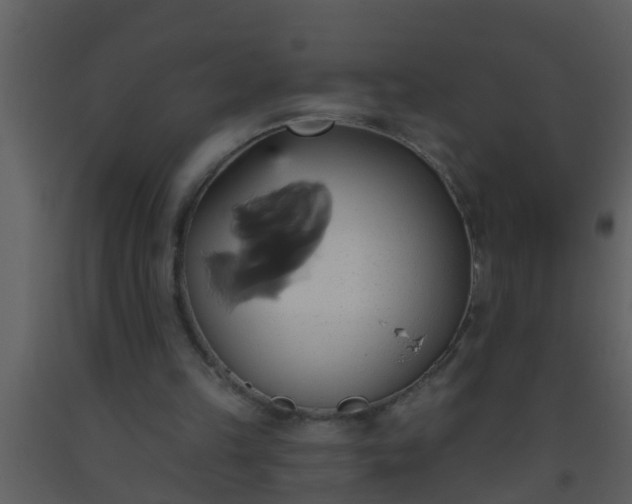 X0000093520149200710191339