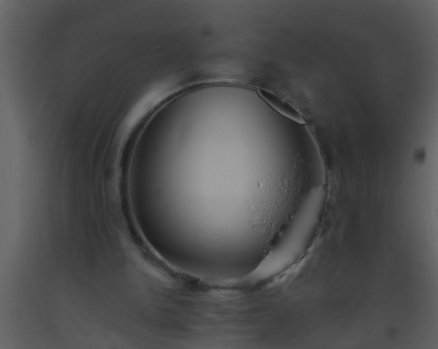 X0000093520150200710191339