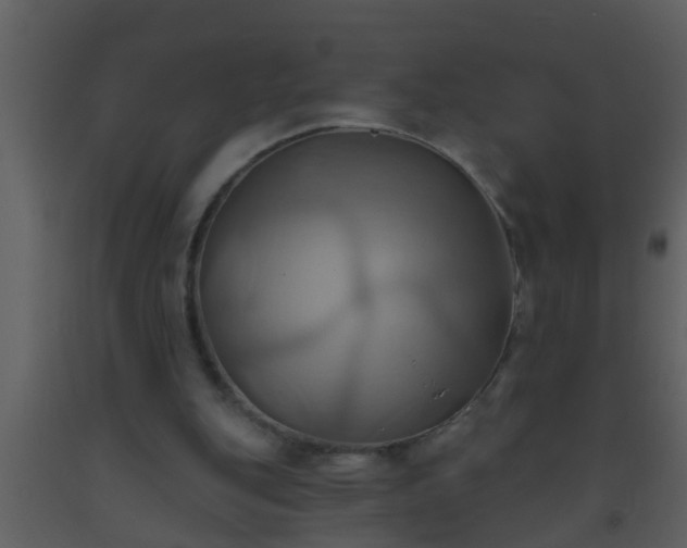 X0000093520151200710191339