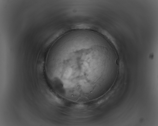 X0000093520153200710191339