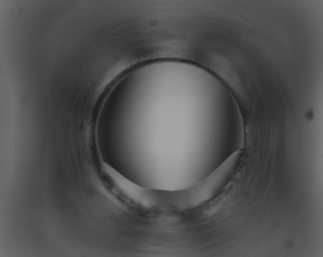 X0000093520156200710191339